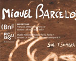 Expo Paris Picasso Miquel Barcel.Sol y sombra