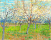 Van Gogh Abricotiers en Fleurs