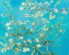 Van Gogh Branches fleuries d'amandier