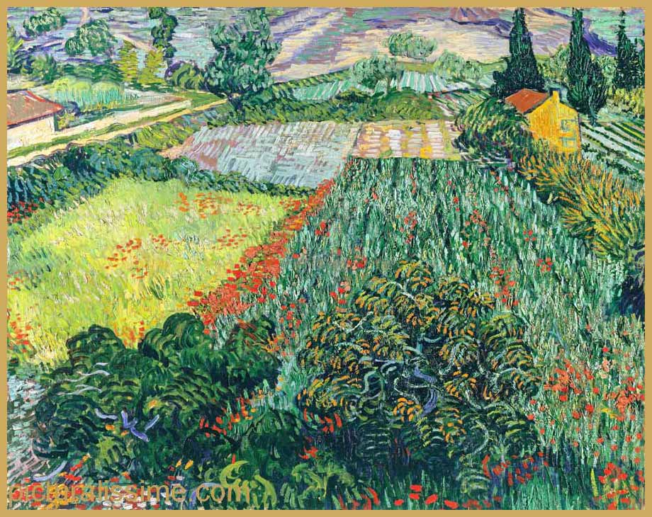 Copie Reproduction Van Gogh Champ aux coquelicots