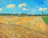 Van Gogh les Champs Labourés