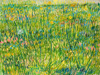 Van Gogh Prairie en fleurs