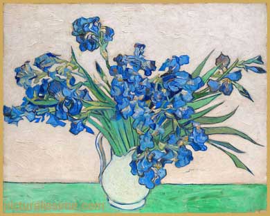 Van Gogh Vase avec Iris