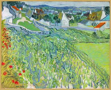 Copie Reproduction Van Gogh Vignes à Auvers