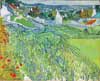 Van Gogh Vignes à Auvers