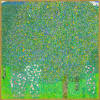 Klimt Jardin en fleurs