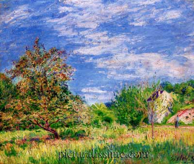 Alfred Sisley verger au printemps